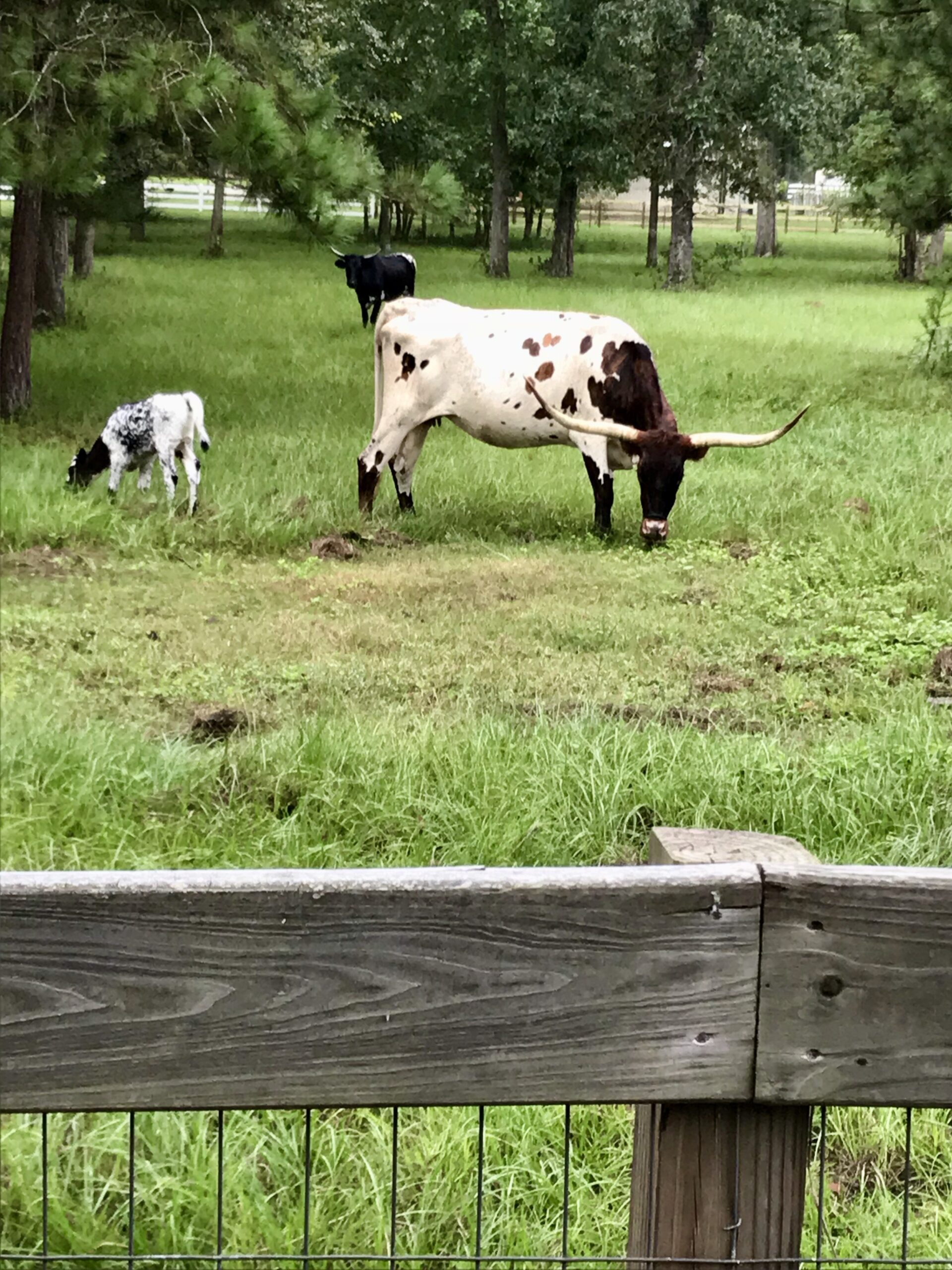 Photo Gallery RPR is one great place to live! River Park Ranch